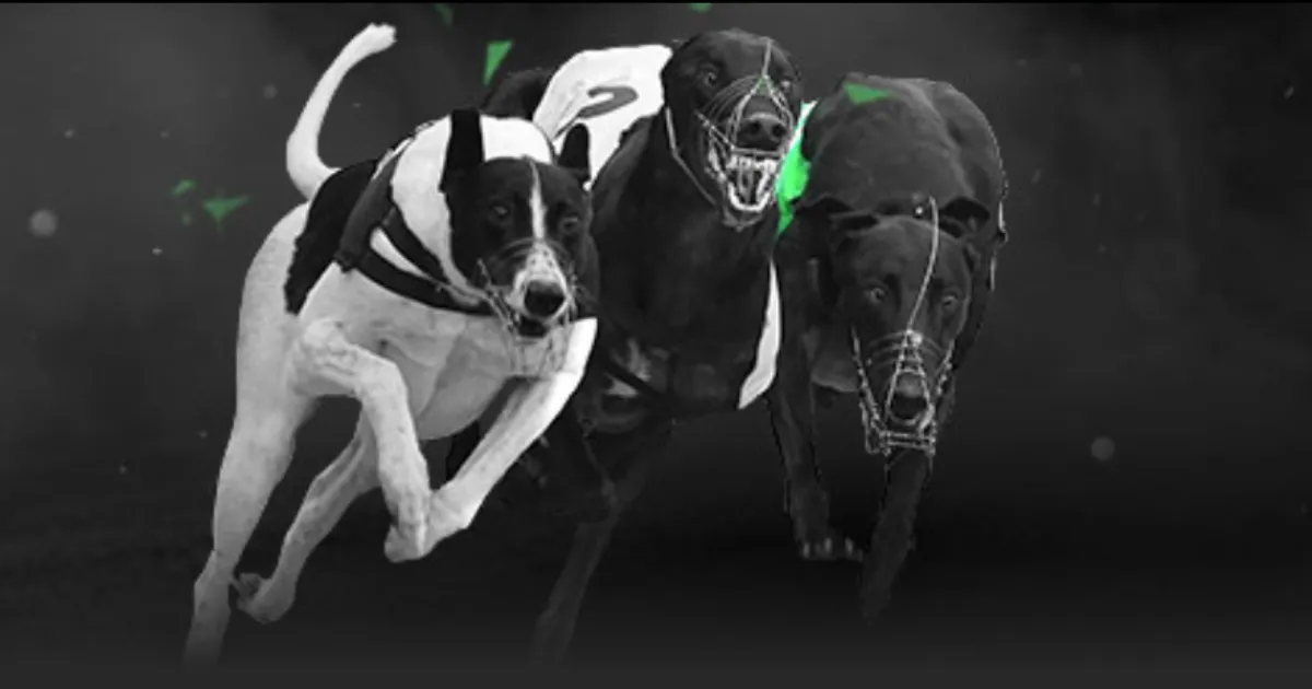 石家莊永昌,與深圳佳兆,業中超保級,九游体育,JiuYou,九游体育网址,九游app,九游官网,九游集团